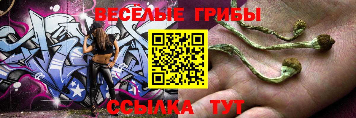 цены   Псилоцибиновые грибы прущие грибы  Вход с VPN  Камень-на-Оби 