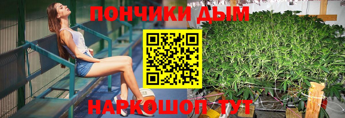 Канабис семена  Бошки марихуана сатива  Вход с VPN  Шишки марихуана AK-47  Камень-на-Оби 